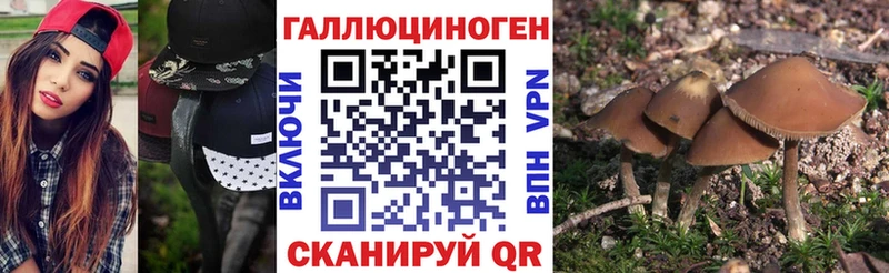 Псилоцибиновые грибы Psilocybe Тетюши